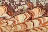 Polished Slab Of Rolling Hills Dolomite - Mexico #280052-1